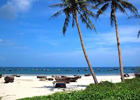 Beaches in Da Nang, Son Tra and Hoi An