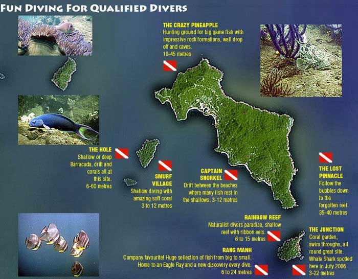 Cham Island Diving tours in Hoi An